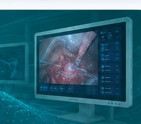 Medical display application visualization