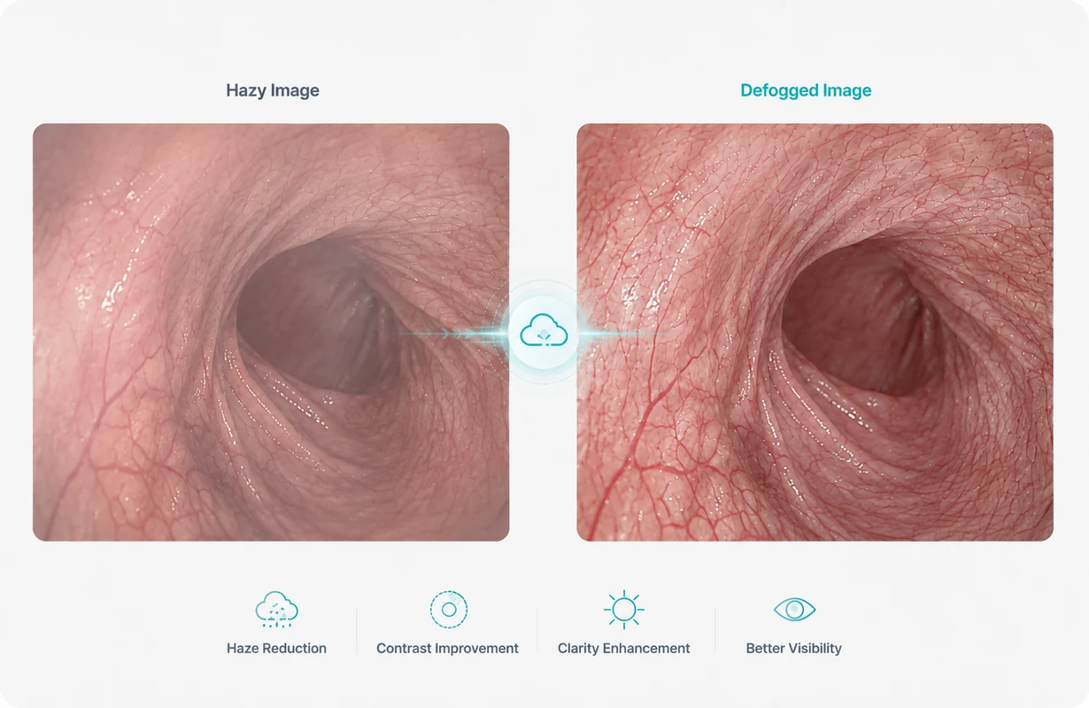 Core visualization comparing a hazy endoscopic image with the defogged result